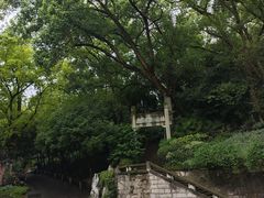 -忠山公园