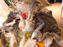 -尚海豆捞(乐虹坊店)