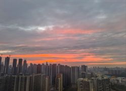 -禧月荟S月子中心(侨城店)