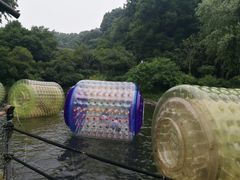 -杭州少年儿童公园