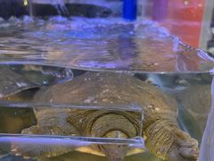 -钳小柒·小龙虾蓝龙王烧烤夜宵(长寿路店)