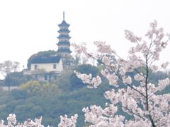 -苏州上方山国家森林公园