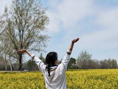 -汉长安城未央宫国家考古遗址公园