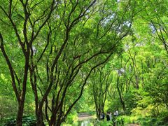-共青国家森林公园-游客服务中心