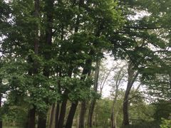 -金头公园