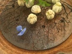 -膳博士·府宴餐厅(猪猪星球店)