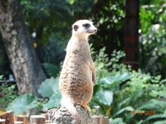 -广州长隆野生动物世界