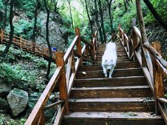 -大岭沟猕猴桃谷风景区