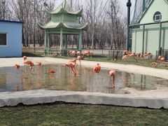 -秦皇岛野生动物园