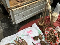 -连云港民主路老街