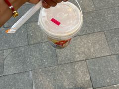 -CoCo都可(官林大梦想城店)