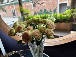 -花隐·美芙炫海菲秀皮肤管理中心