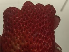 -胡家庙水果批发市场