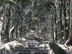 -东莞市大岭山森林公园