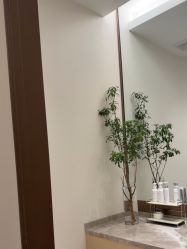 -智美品质医美