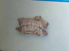 -泰康拜博口腔医院(海曙店)