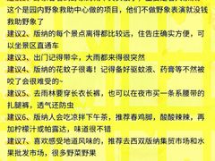-西双版纳原始森林公园
