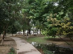 -太平河公园