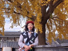-自如ZSPACE四合院艺术餐厅