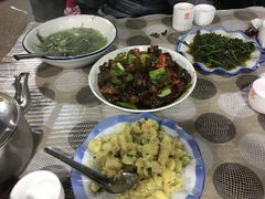-绿草墩