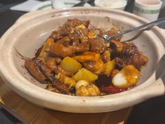 -三强鸽子(中原路店)