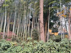 -灵顺寺