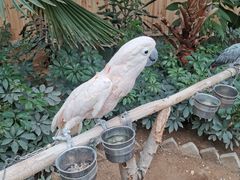 -南宫五洲植物乐园