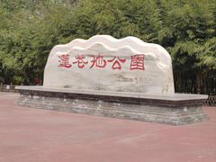 -莲花池公园