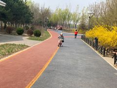 -大兴滨河森林公园