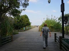 -吴淞炮台湾湿地森林公园烧烤区