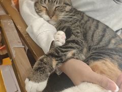 -平行世界·猫咖(首经贸店)