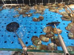 -川骄海鲜自助(河东店)