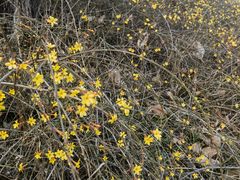 -艾山风景名胜区