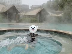 -咸宁万豪温泉谷度假区