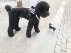 -Oasis Beauty水磨坊科技美肤中心