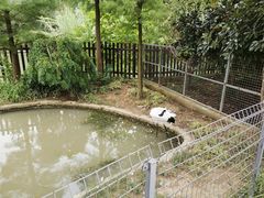 -上方山森林动物世界