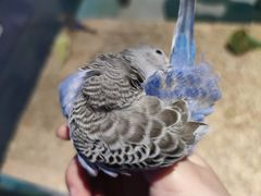 -怪兽屋·羊驼·猫咖·狗咖(俊华广场店)