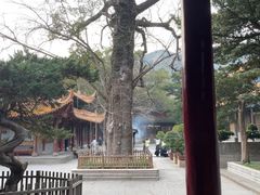 -普陀山风景名胜区-法雨禅寺