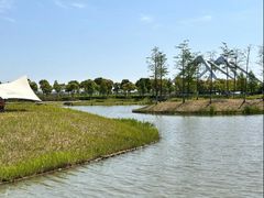 -春花秋色城市公园