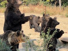 -沈阳森林动物园