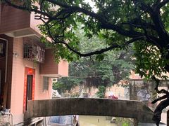 -小洲村