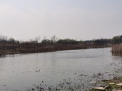 -同里国家湿地公园