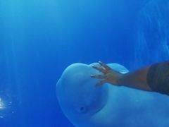 -多彩贵州城极地海洋世界