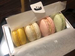 -BLACKSWAN黑天鹅(环球店)