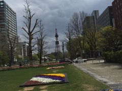-大通公园