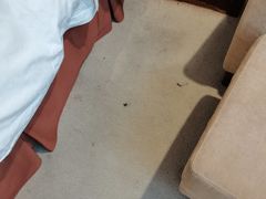 -咸宁温泉谷大酒店