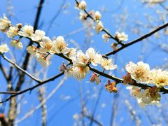 -荔枝公园(福田区)