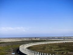 -南汇嘴观海公园