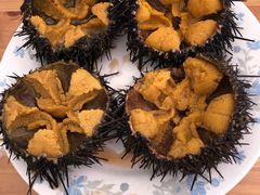 -海胆小馆(东北水饺·春柳店)