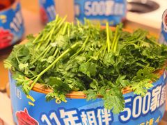 -龍歌自助小火锅(漳州二路爱购店)
